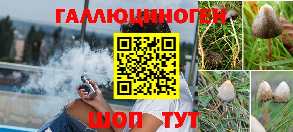 Минеральные Воды  Псилоцибиновые грибы GOLDEN TEACHER  Псилоцибиновые грибы прущие грибы  Вход с VPN 