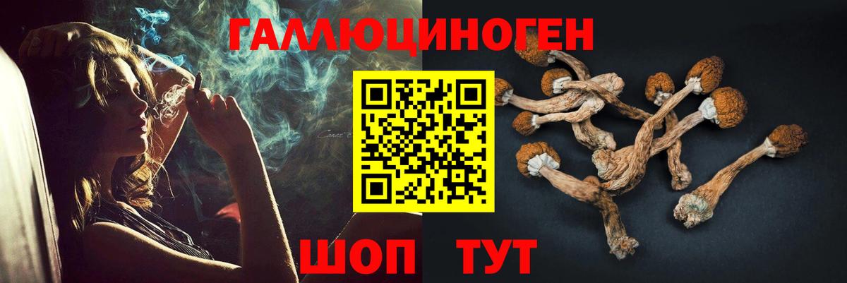 Галлюциногенные грибы Psilocybe Минеральные Воды